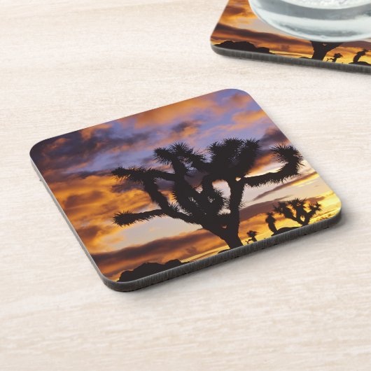 壮観なサンライズアットジョシュアツリー国立公園 コースター (左側)