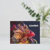 壮観なライオンフィッシュ ポストカード (スタンド正面)