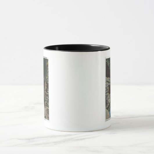 壮観な洞窟カスケードのビュー マグカップ (中央)