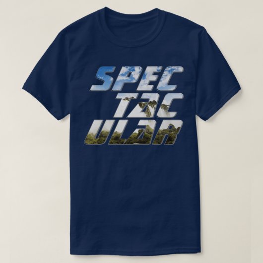 壮観 Tシャツ (デザイン正面)