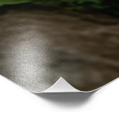 壮麗な花の天蓋 庭園の小道 フォトプリント (角)