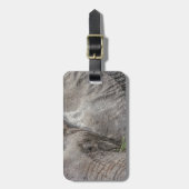 壮麗な象の荷物のラベル ラゲッジタグ (正面縦)