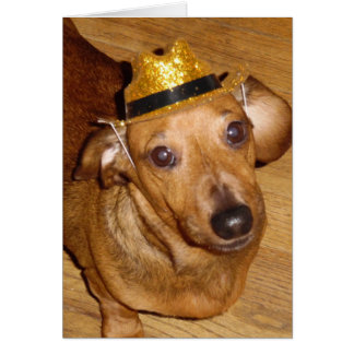 壮麗なMICKEYのカウボーイ