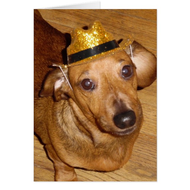 壮麗なMICKEYのカウボーイ (正面)