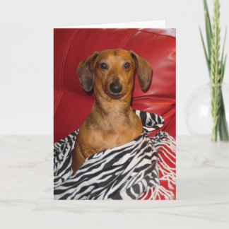 壮麗なMICKEYの挨拶状 カード