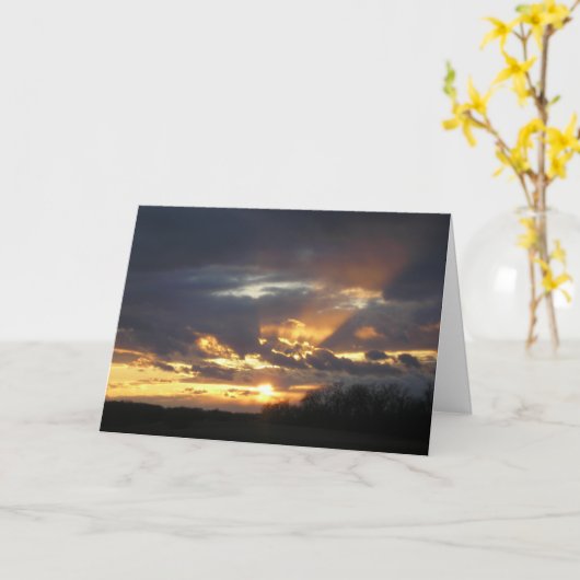 「壮麗！」 カード (黄色い花)