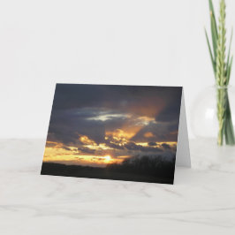 「壮麗！」 カード