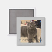 「声が私の目をひくつかせる! マグネット (正面/裏面)