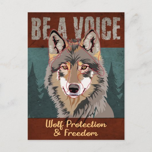声になる – 狼の保護と自由 ポストカード (正面)