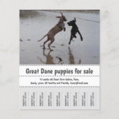 売り手ポスター チラシ (正面)