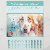 売り物の子犬 チラシ (正面)