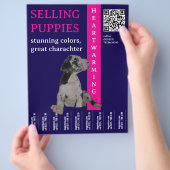 売る子犬 チラシ (手)