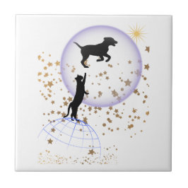 変な猫走と犬 タイル