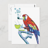 変わったインコ ポストカード (正面/裏面)