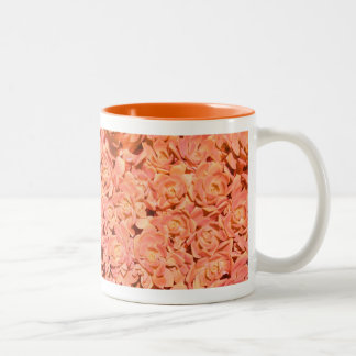 変わったモモの花の多肉植物 コーヒーカップ