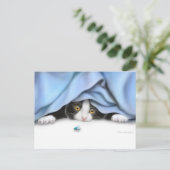 変わった子猫はがき ポストカード (スタンド正面)