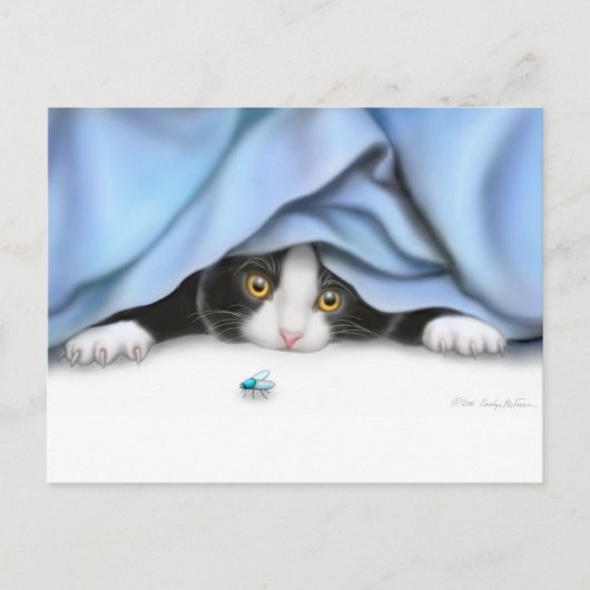 変わった子猫はがき ポストカード (正面)