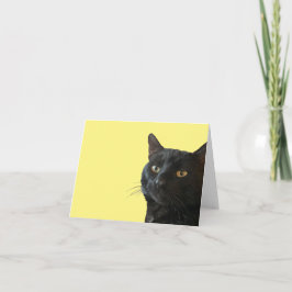 変わった表情の黒猫のカットアウト カード