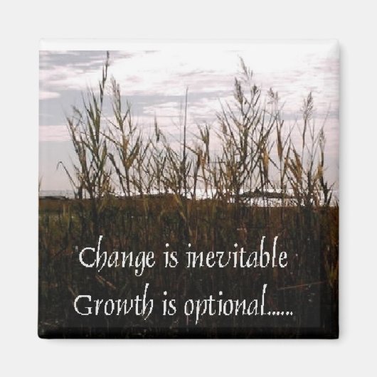 変化は避けられない磁石だ マグネット (正面)