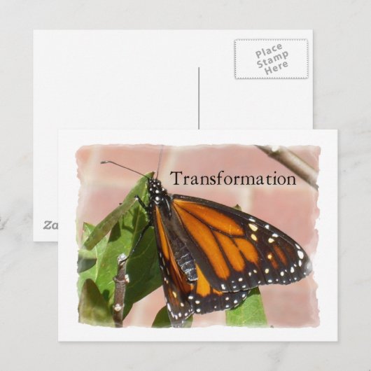 変容の蝶 ポストカード (正面/裏面)