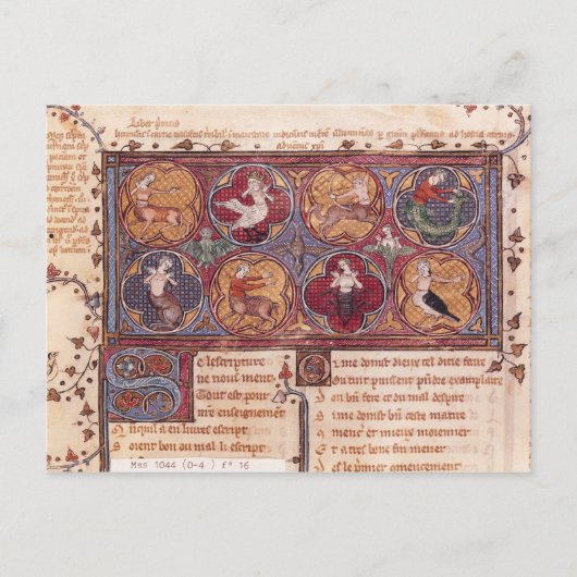 変容,卵巣道徳化から ポストカード (正面)