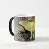 変形させるマグのルナガ モーフィングマグカップ (正面左)