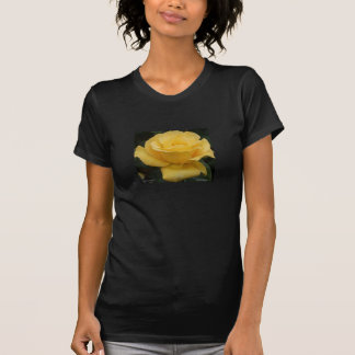 変形の芸術 Tシャツ