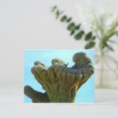 変形サグアーロサボテン.jpg ポストカード (スタンド正面)