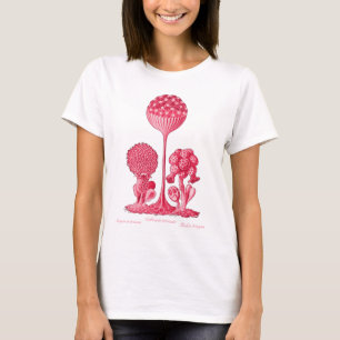変形菌 Tシャツ