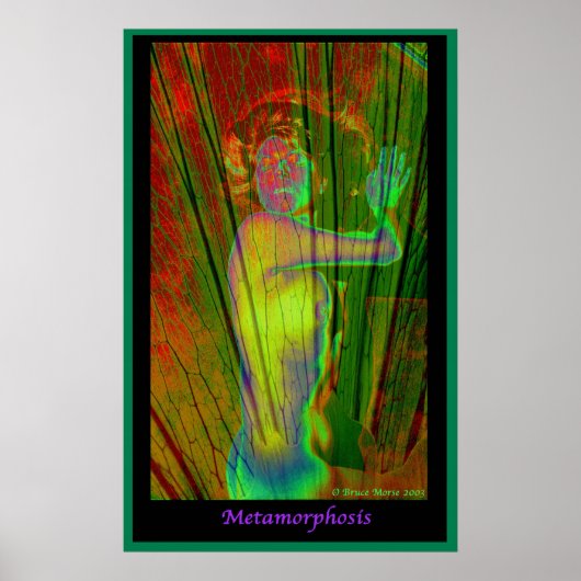 変態 ポスター (正面)