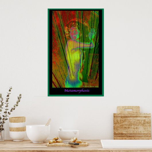 変態 ポスター (キッチン)