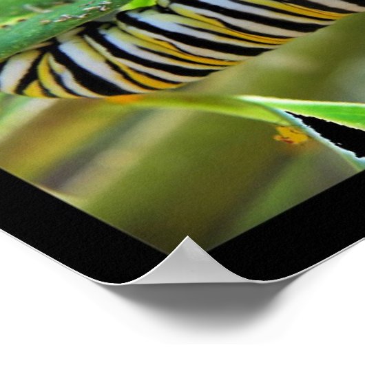 変態 ポスター (角)