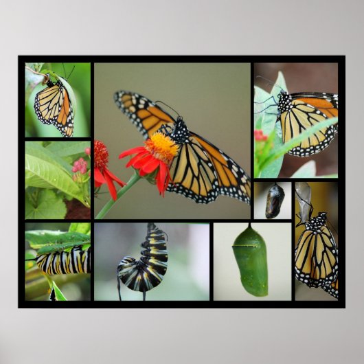 変態 ポスター (正面)