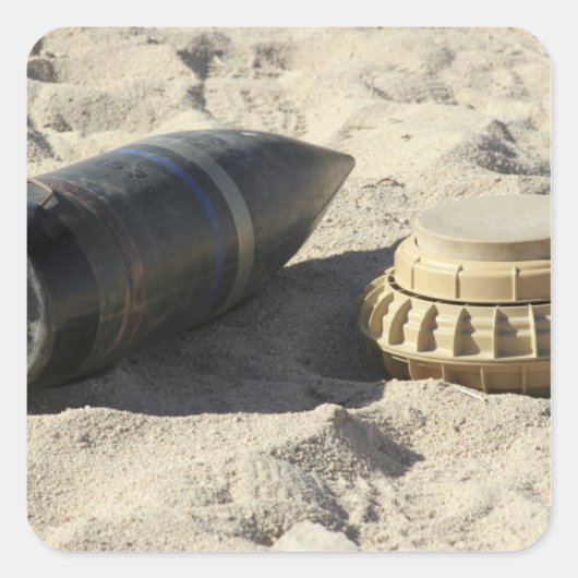 変換されたオーダンスシェルの静的ディスプレイ スクエアシール (正面)