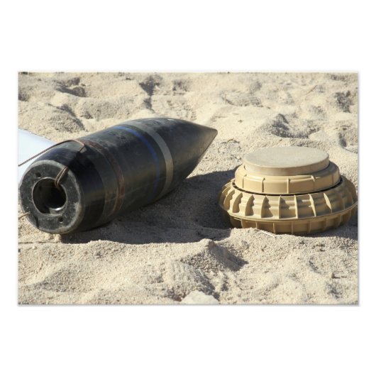 変換されたオーダンスシェルの静的ディスプレイ フォトプリント (正面)