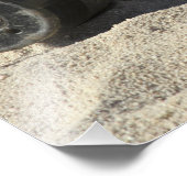 変換されたオーダンスシェルの静的ディスプレイ フォトプリント (角)