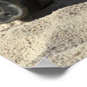 変換されたオーダンスシェルの静的ディスプレイ ポスター (角)