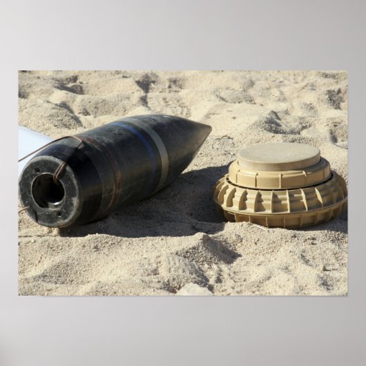 変換されたオーダンスシェルの静的ディスプレイ ポスター (正面)