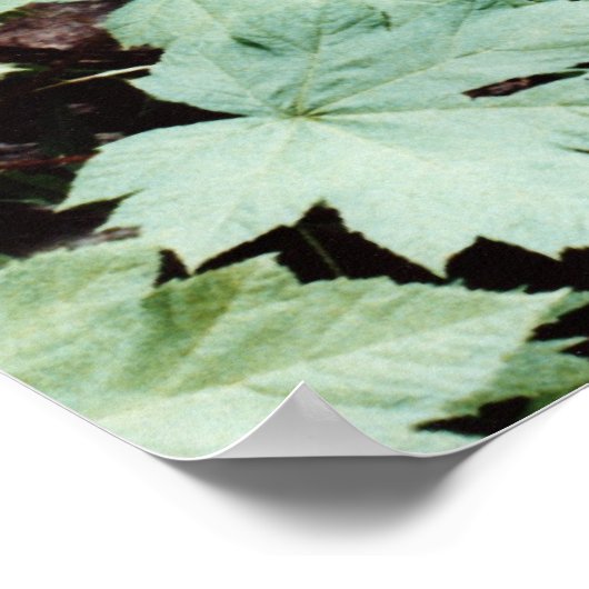 変換 ポスター (角)