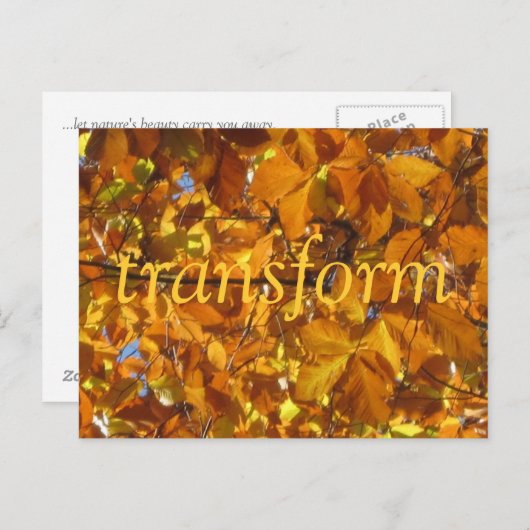 変換 ポストカード (正面/裏面)