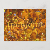 変換 ポストカード (正面)