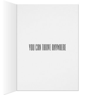 、変更の仕事動きます、変更のキャリア、離婚