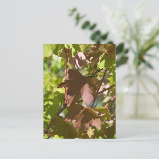 変更紅葉 ポストカード (スタンド正面)