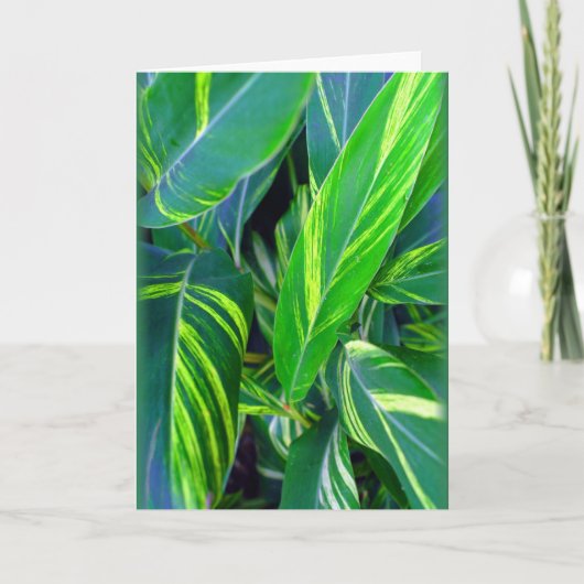 「変生姜」 カード (正面)