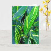 「変生姜」 カード (黄色い花)