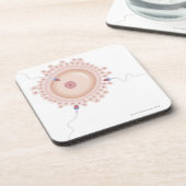 変異する遺伝子を含んでいる精液 コースター (左側)