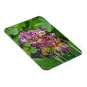 変素晴らし形虹彩花 マグネット (右側)