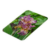 変素晴らし形虹彩花 マグネット (左側)