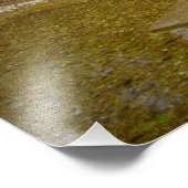 「変装した恵み」 フォトプリント            (角)