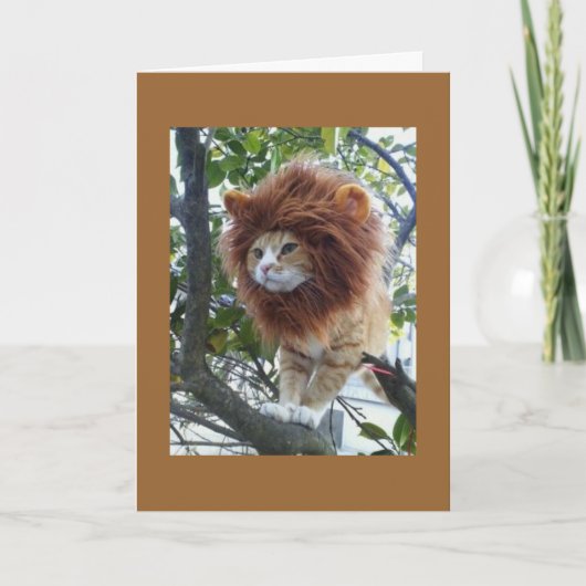 変装40歳の誕生日グループなし カード (正面)